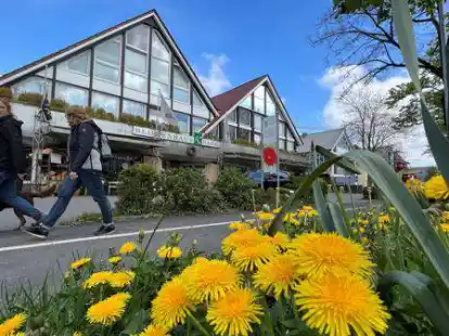 Vor &uuml;ber 75 Jahren von Elfriede Neumann an der damaligen Ladenzeile am Pferdemarkt gegr&uuml;ndet &ndash; das Blumen- und Fleurophaus Knabe an der Alexanderstra&szlig;e ist seit 2013 die Fortf&uuml;hrung von Blumen Neumann.