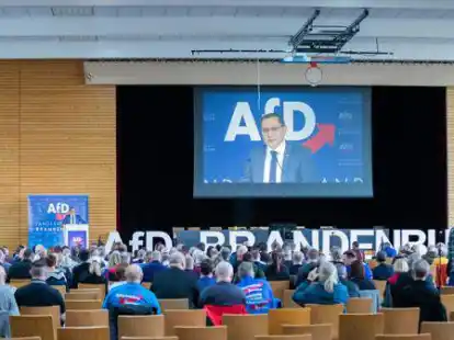 Tino Chrupalla, AfD-Bundesvorsitzender und Fraktionsvorsitzender der AfD im Bundestag, spricht beim Landesparteitag der AfD-Brandenburg. Die umstrittene Partei m&ouml;chte in Niedersachsen ihren Landesparteitag in der Auricher Sparkassen-Arena abhalten.
