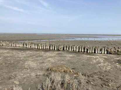 <p>Der Blick ins Watt.Josepha Zastrow</p>