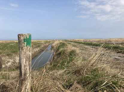 Der gr&uuml;ne Pfosten rechts im Bild markiert den sicheren &bdquo;Lehrpfad&ldquo;.