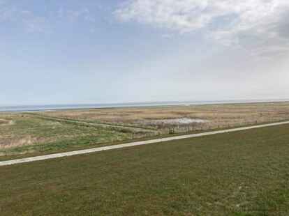 Der Blick vom Deich auf die Salzwiesen.