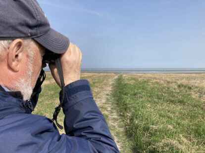 Werner Menke aus Jever macht seit Jahren Salzwiesenf&uuml;hrungen. Bild: Josepha Zastrow