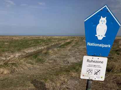 Die Salzwiesen sind Teil des Nationalparkes Wattenmeer.