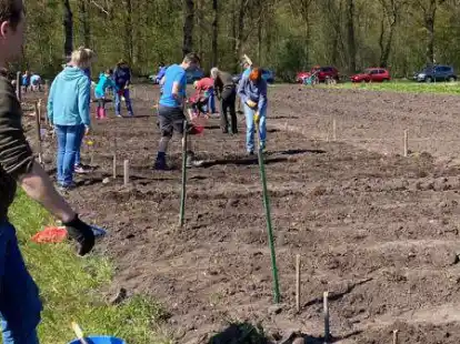 Zahlreiche Hobby-Landwirte pflanzten Kartoffeln am &bdquo;Bienengl&uuml;ck&ldquo;.