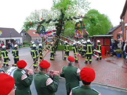 Mit Musik und vereinten Kr&auml;ften: Maibaumaustellen in Accum.