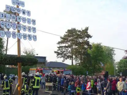 Maibaumsetzen in Hude. Erstmals wurde der Handwerkerbaum 2019 am neuen Standort auf dem Sch&uuml;tzenplatz aufgestellt.