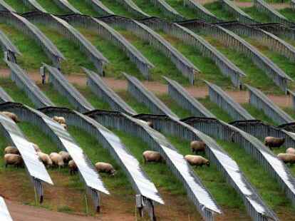Ist das die Zukunft der Landwirtschaft? Eine Ackerfl&auml;che ist mit Photovoltaik-Modulen &bdquo;bepflanzt&ldquo;. Dazwischen grasen Schafe &ndash; gesehen in F&ouml;hren (Kreis Trier-Saarburg).