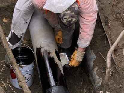 Leitung freigelegt: &Uuml;ber 120 B&auml;ume befinden sich im Trassenverlauf einer Erdgashochdruckleitung. EWE Netz hat den Zustand nun bei Probeschachtungen &uuml;berpr&uuml;ft.