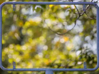 Immer wieder werden in Hesel Schilder gestohlen, nun traf es die Ortseingangsschilder.