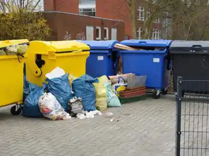 Weder gro&szlig;z&uuml;gige Stellpl&auml;tze noch gro&szlig;e Tonnen garantieren Ordnung.