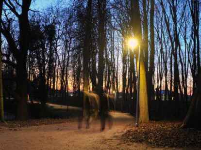 Hat sich bew&auml;hrt: Seit 2017 gibt es auf dem Wallabschnitt zwischen Friedrich-Ebert- und Boltentorstra&szlig;e 57 LED-Stra&szlig;enlaternen, die besonders tierfreundlich sind.