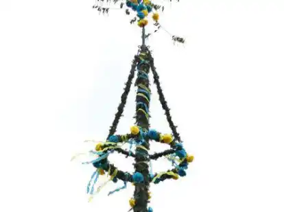 Nach sechs Jahren Pause war wieder eine Maibaumkrone &uuml;ber Pewsum zu sehen.