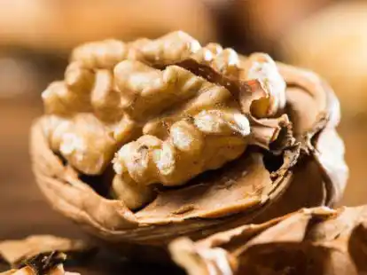 Es m&uuml;ssen nicht immer Avocados sein: Waln&uuml;sse sind eine gute Alternative