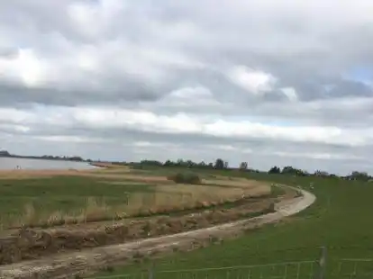 Der Deich zwischen Leer und Emden: Das angeschwemmte Teek muss immer wieder entfernt werden, damit es die Grasnarbe nicht zerst&ouml;rt wird.