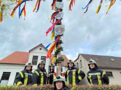 In Sillenstede hat die Feuerwehr den  von der Dorfgemeinschaft geschm&uuml;ckten Baum aufgestellt.