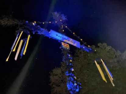 Maibaum Waddewarden 2022