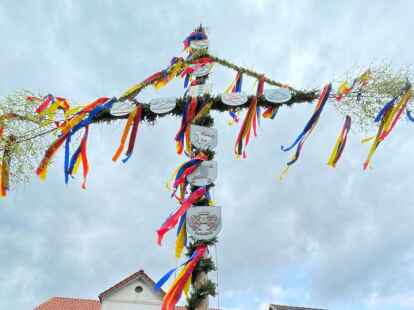 Maibaum Sillenstede 2022