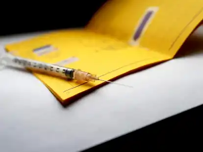 Impfp&auml;sse von Sch&uuml;lern werden kontrolliert.