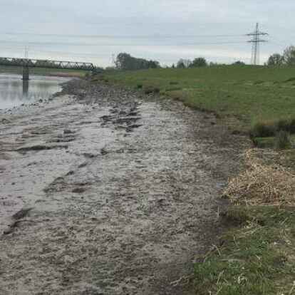 Stein-Projekt an der Eisenbahnbr&uuml;cke Heerenborg: Um das Ufer zu stabilisieren, m&uuml;ssen hier rund 1000 Tonnen Steine verbaut werden.