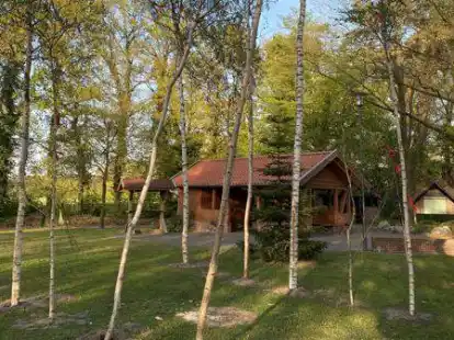 Maibaumw&auml;ldchen auf dem Hatterw&uuml;stinger Dorfplatz. Neben dem eigenen (rechts) stehen hier zw&ouml;lf eroberte.