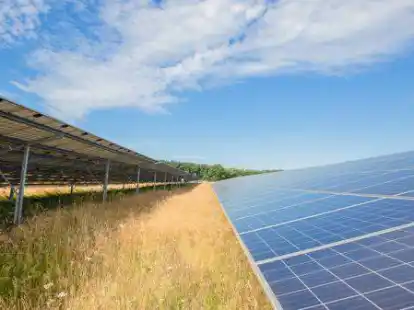 61 Reihen von Solarmodulen sollen auf der Gr&uuml;nfl&auml;che im Bereich der ehemaligen Deponie K&auml;seburg entstehen.