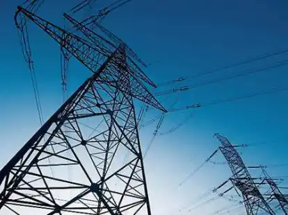 Hochspannungsleitungen wie diese sollen ab 2024 auf der Trasse zwischen Conneforde und Cloppenburg stehen. Daf&uuml;r wurden jetzt die Planfeststellungsunterlagen eingereicht.