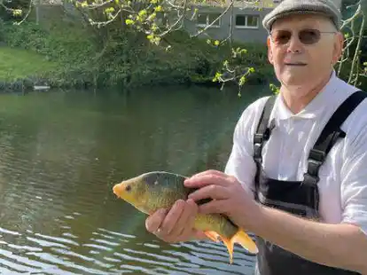 Georg Janssen hat insgesamt 50 Bunt- und Spiegelkarpfen f&uuml;r die Schlossgraft beschafft.