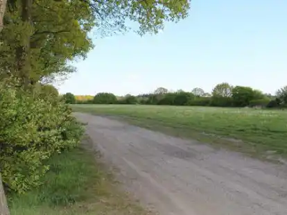 An der unbefestigten Verl&auml;ngerung der Stra&szlig;e &bdquo;Am Schlatt&ldquo; liegt das Areal f&uuml;r die Erweiterung des Wardenburger Gewerbegebietes S&uuml;d-West.
