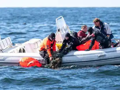 Ein Netz wird an Bord eines Schnellschiffes gezogen. Bei der Aktion 