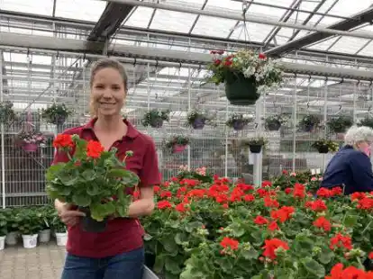 D&uuml;rfen auch in diesem Jahr nicht fehlen: Carolin Melle liegt der traditionelle Verkauf ihrer Geranien am Herzen.