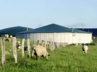 F&uuml;r ein innovatives Konzept in der Biogasanlagen-Branche hat die Firma Envitec Biogas jetzt eine Auszeichnung erhalten.