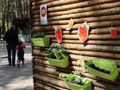 Zum wiederholten Mal haben Unbekannte die Florianh&uuml;tte und die Einrichtungen des Waldkindergartens Florians Entdeckerland besch&auml;digt und beschmiert.