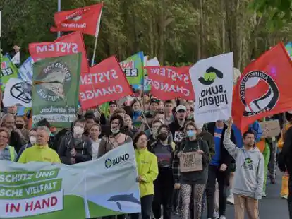 Kritik an Umweltpolitik: Der Demonstrationszug in Wilhelmshaven war dennoch friedlich unterwegs. Rund 200 Menschen nahmen daran teil,