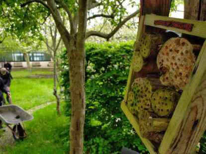 Bis auf eine kleine Buchenhecke und die Obstb&auml;ume &ndash; inklusive Nistkasten und Insektenhotel &ndash; wird der Innenhof neu angelegt. Der Schwerpunkt soll vorerst auf Gem&uuml;sebeeten liegen.