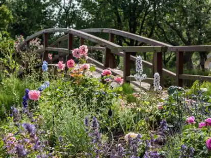 Bl&uuml;hendes Paradies: Auch der Privatgarten Ohliger in Westerstede ist bei den Tagen des offenen Gartens mit dabei.