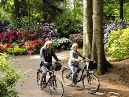 Zwei Menschen machen eine Fahrradtour im Ammerland: Gerade zur Zeit der Rhodo-Bl&uuml;te ist das bei Urlaubern beliebt.