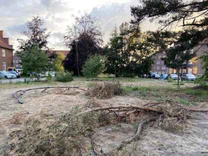 Es gibt viel zu tun: Auf dieser Fl&auml;che soll der Gemeinschaftsgarten entstehen. Zun&auml;chst steht eine Aufr&auml;umaktion an. Bild: Susanne Gloger