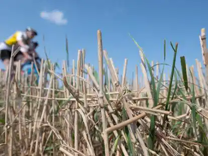 Die Leute mehr auf den Sattel zu bewegen, ist aktuell ein wesentlicher Teil der Arbeit der Norder Klimaschutzbeauftragten.