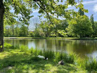 Die Idylle tr&uuml;gt: Am Schwanenteich gibt es regelm&auml;&szlig;ig &Auml;rger wegen illegaler Jugendpartys.