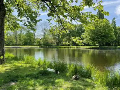 Die Idylle tr&uuml;gt: Am Schwanenteich gibt es regelm&auml;&szlig;ig &Auml;rger wegen illegaler Jugendpartys.