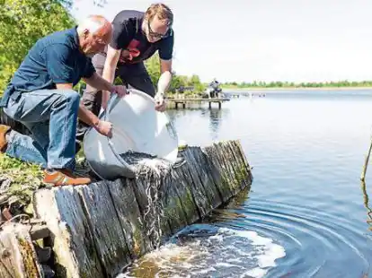 Freiheit ist das Einzige, was z&auml;hlt: Hilko Nieland vom Bezirksfischereiverband (links) und Helfer Marco Ubben entlassen Tausende junger Aale in das Uphuser Meer.