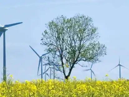 Ein vertrauter Anblick: ein Windpark bei Pewsum. Zuk&uuml;nftig d&uuml;rfte es in der gesamten Gemeinde Krummh&ouml;rn davon mehr geben.