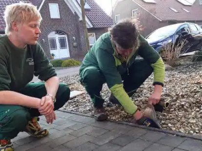 Im Zuge des Projekts &bdquo;Falterfreu(n)de-Aktion: Vielfalt im Vorgarten&ldquo; werden in Emden zehn G&auml;rten durch das &Ouml;kowerk von Schotterw&uuml;sten in bl&uuml;hende Oasen umgestaltet.