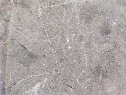 Hat der Debatte &uuml;ber die Jugendlichen in Pewsum unsch&ouml;nen Auftrieb gegeben: das eingeritzte Hakenkreuz an einer Grabplatte an der Manningaburg.