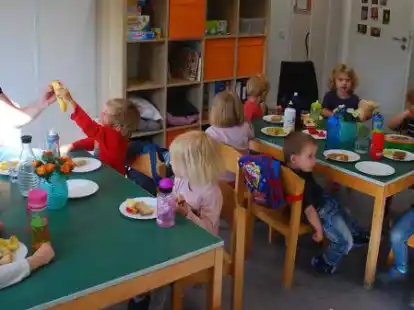 Die Finanzierung und steigenden Kosten der Kitas sind ein Dauerbrenner in Schortens. Nun sieht es wohl doch so aus, dass die Stadt die Kitas ab Mitte 2023 an den Landkreis abgibt.