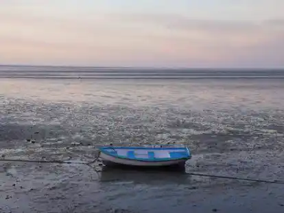 Ein Boot liegt im Watt.