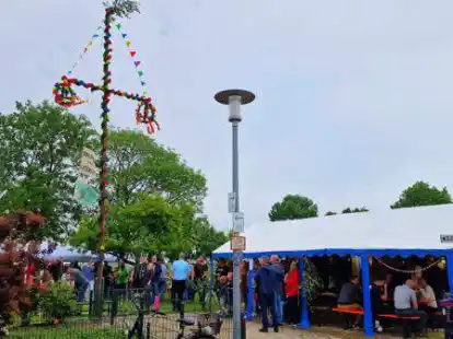 Nachbarn in Schmalenfleth lie&szlig;en in diesem Jahr eine alte Tradition wieder aufleben. Sie stellen gemeinsam einen Pfingstbaum auf.