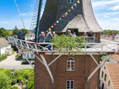 Mit einem gro&szlig;en Birkenast wurde die Vareler M&uuml;hle am Pfingstsamstag geschm&uuml;ckt.
