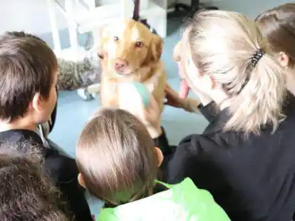 Mit Schulhund Flooke kommen die ukrainischen Kinder, die vor dem Krieg in ihrer Heimat geflohen sind, an der OBS B&ouml;sel am schnellsten in Kontakt. Auf Wunsch der Eltern sollen sie nicht erkennbar in der Zeitung erscheinen.