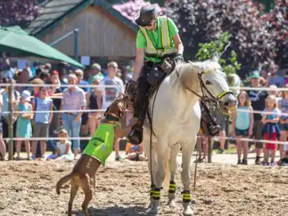 Show mit Pferd und Hund: Beim Tierischen Erlebnistag in Kayhauserfeld werden am Wochenende Tausende Besucher erwartet. Zu sehen sind Tiere von klein bis gro&szlig;.